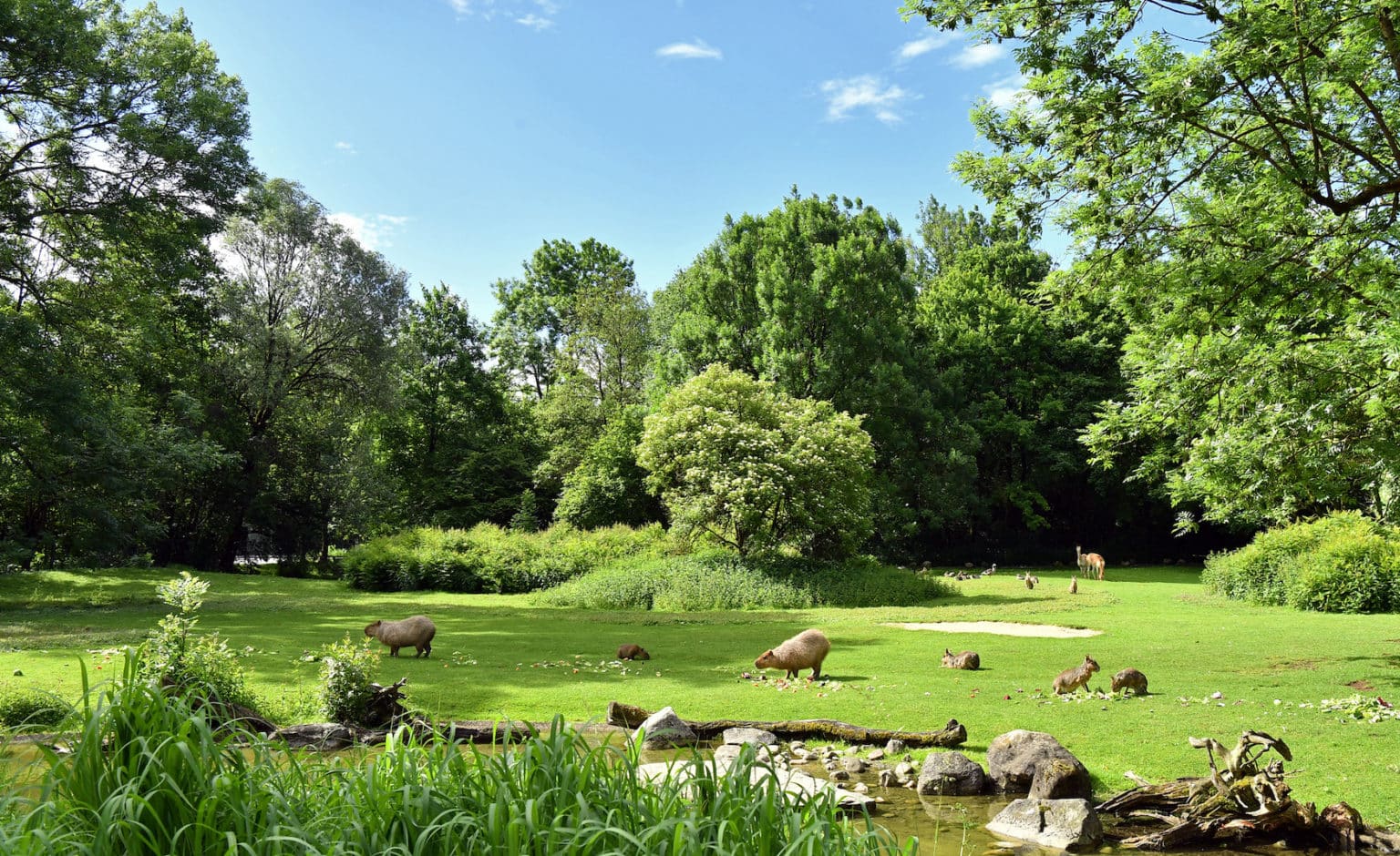 Zoos in Germany: Animal Encounters - funkyGERMANY