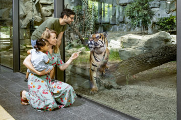 Family standing in front of a Sumatran tiger's disc at Tierpark Berlin