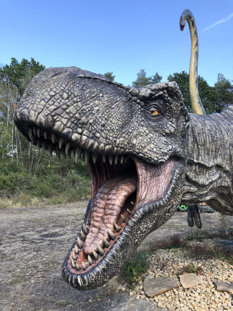 You can discover dinosaurs in Germany at the Dinosaur Park in Münchehagen.