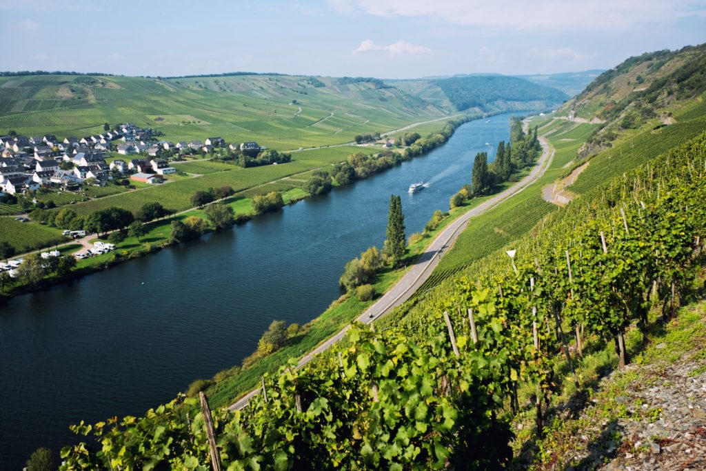 Weinfelder entlang des Moseltals auf dem Moselsteig, einem Fernwanderweg in Deutschland