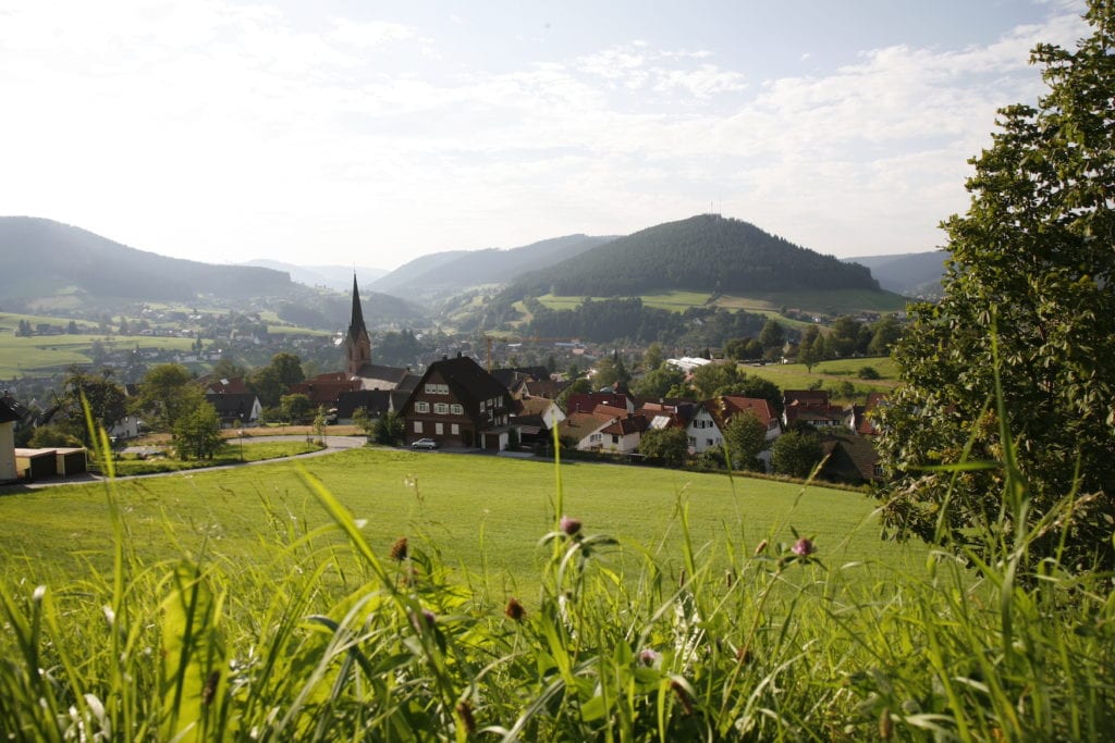 Unser Tipp für den Frühling: Wandern in Baiersbronn