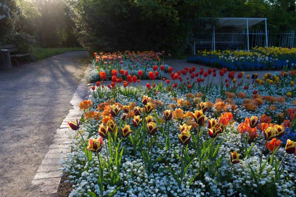 Eine Fahrradtour durch die Flora in Köln ist besonders schön