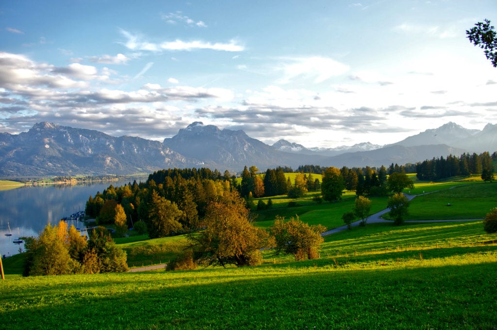 Grüne Landschaft am Forggensee in Füssen