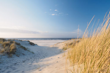 Dunes at one of the beaches in Germany