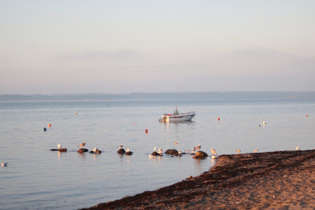 Blick auf ein Boot der Ostsee bei Sonnenuntergang