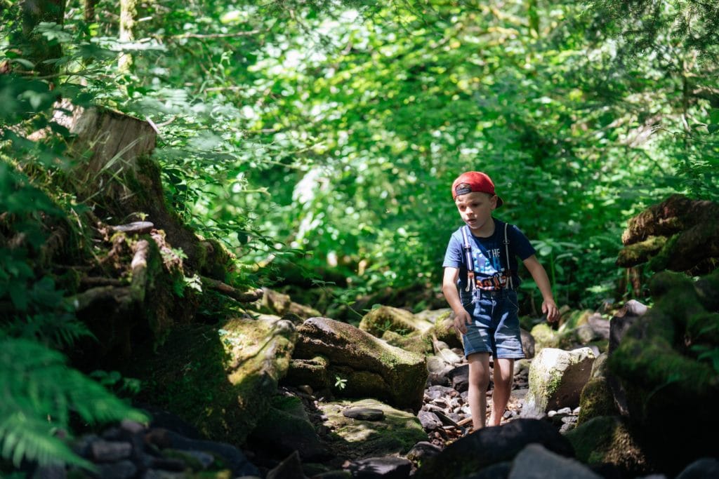 Kleiner Junge spaziert durch Zauberwald am Kinzigsee im Schwarzwald