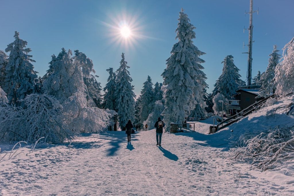 Cold season in Taunus Nature Park