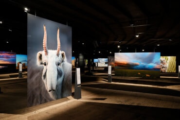 The Fragile Paradise - Exhibition in the Gasometer in Oberhausen