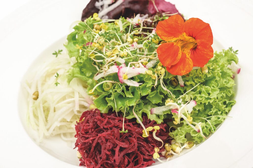 Vegetarischer Salat serviert in einem vegetarischen Hotel in Deutschland