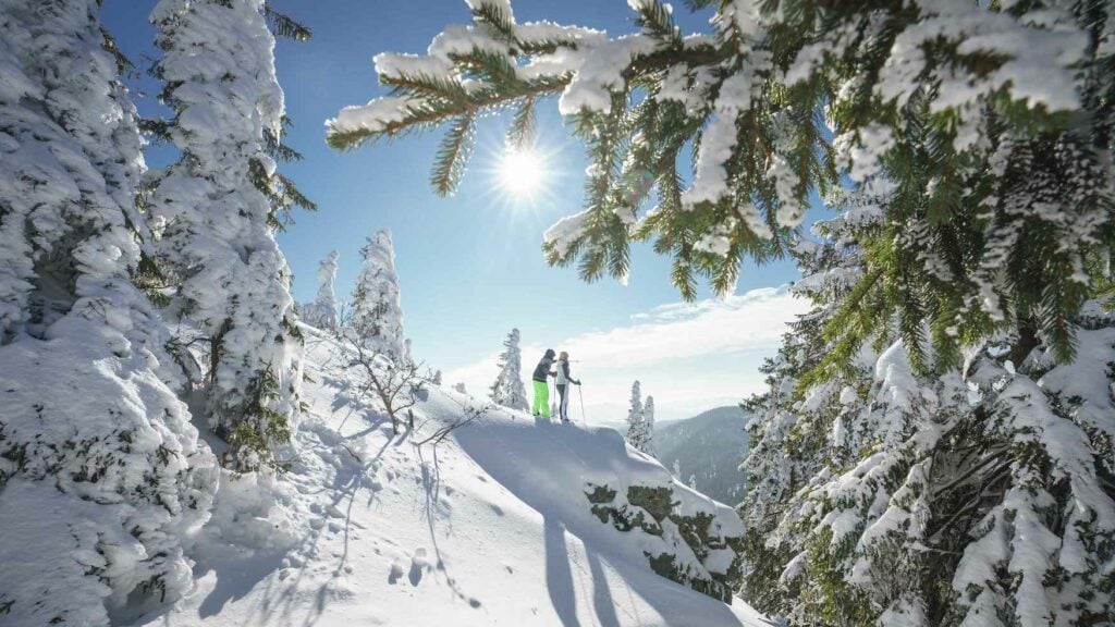 Zwei Reisende während einer Schneeschuhtour am Großen Arber in Ostbayern