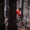 Man riding his bike through the Harz National Park near Braunlage