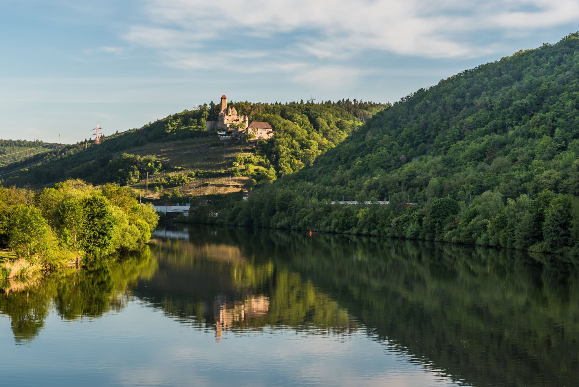 Burg Hornberg im Odenwald, im Vordergrund der Neckar