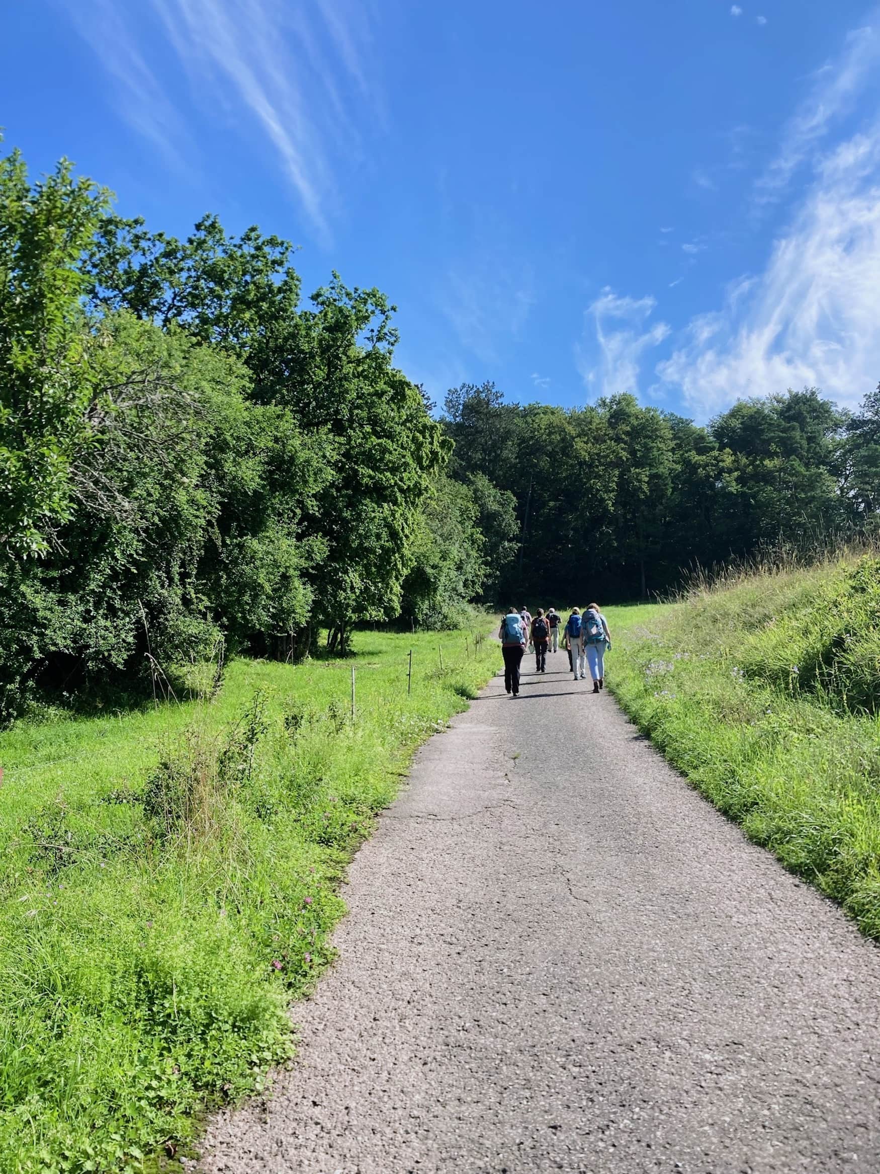 Wanderer auf einem Weg im Odenwald an sonnigem Tag