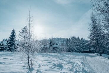 Snowy landscapes in the northern Black Forest