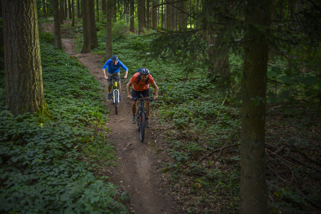Radfahrer in deutschem Wald im Saarland