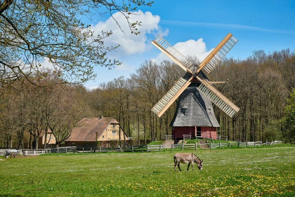 Windmühle im Freilichtmuseum Kommern in der Eifel
