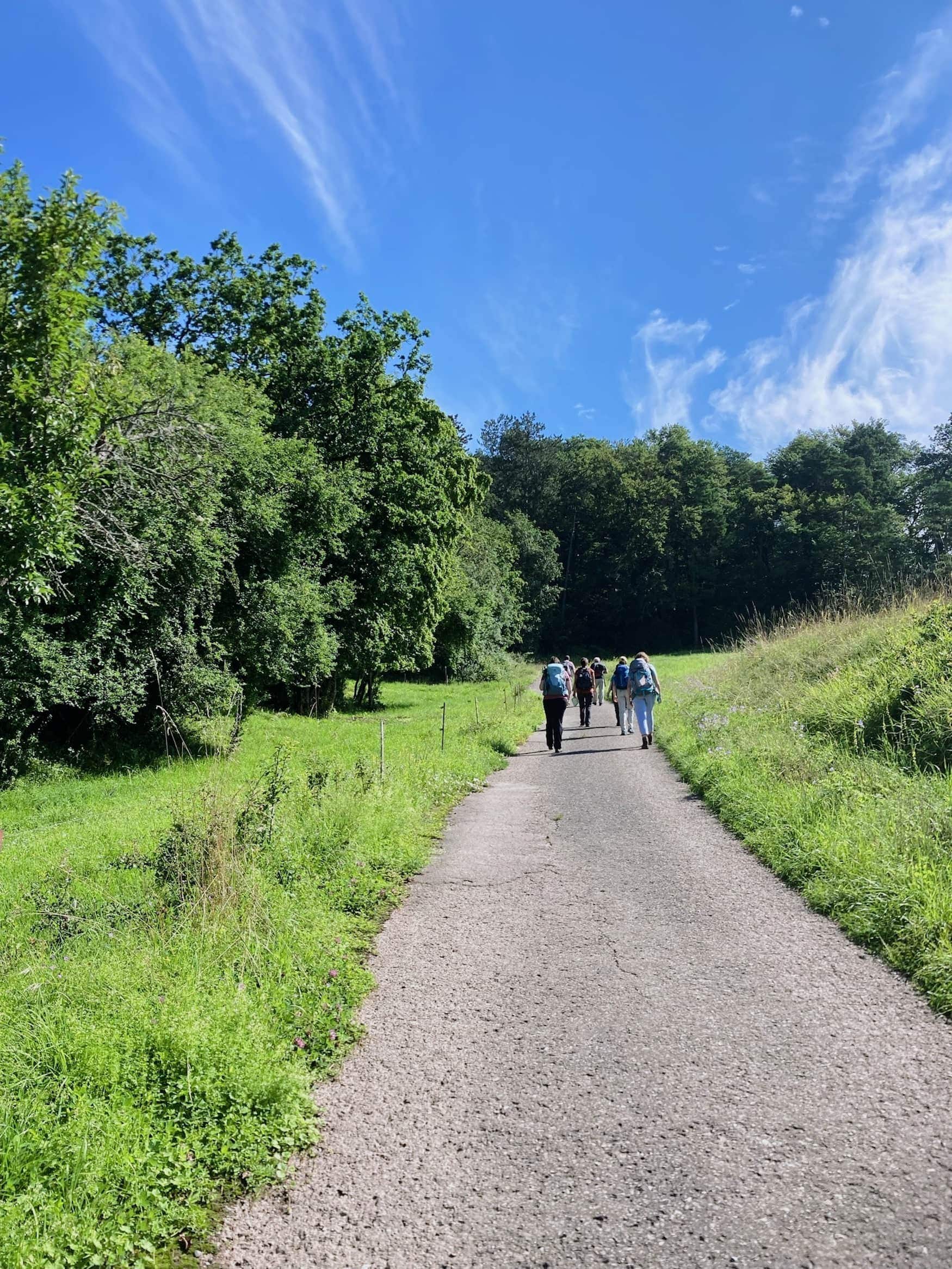 Hikers on a path in the Odenwald on a sunny day