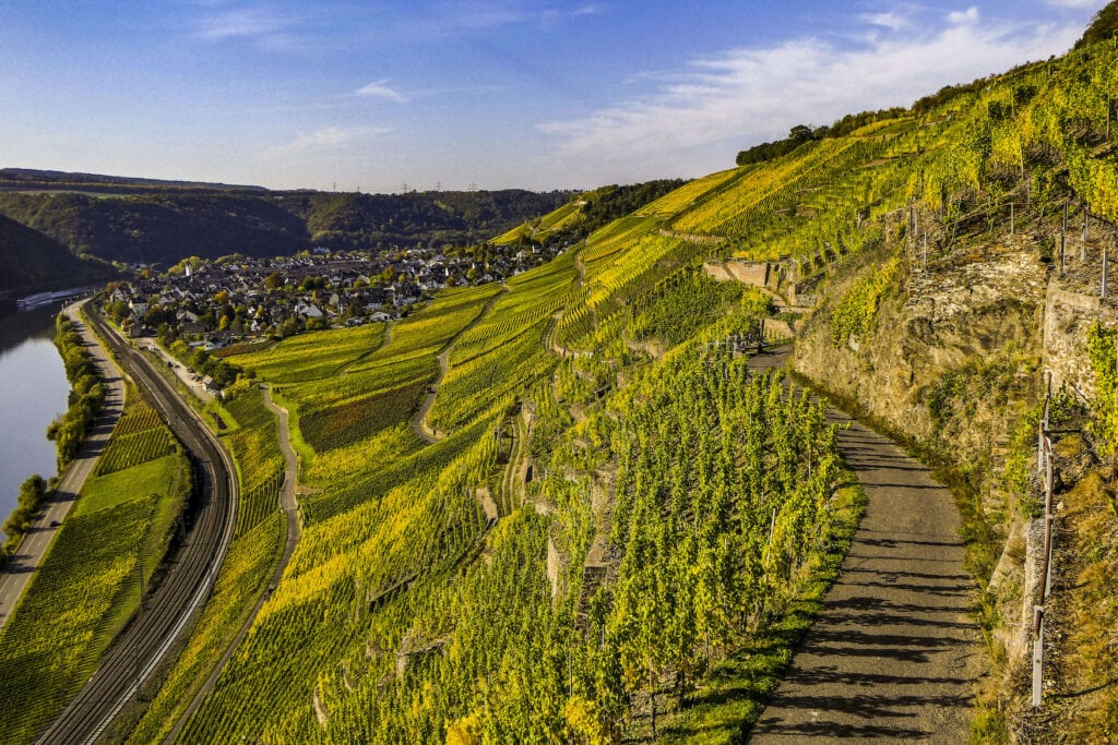 Aussicht auf Winningen und die Weinberge, eines der schönsten Ausflugsziele in Rheinland Pfalz