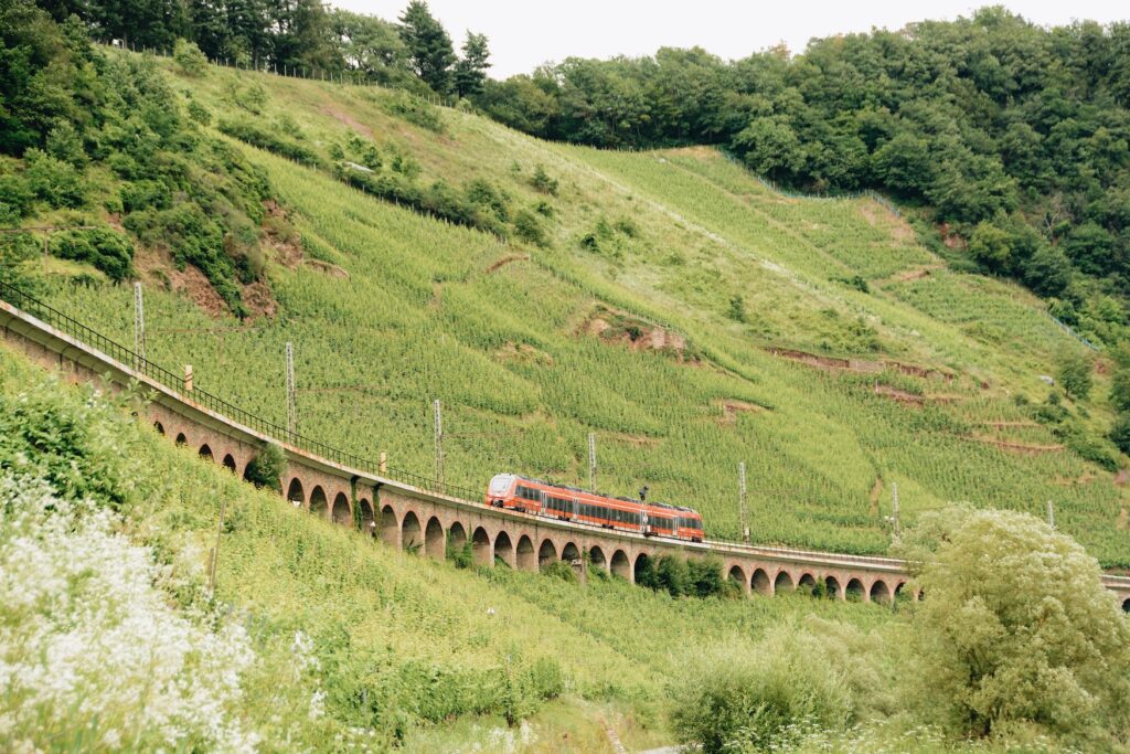 Railway line near Pünderich through vineyards