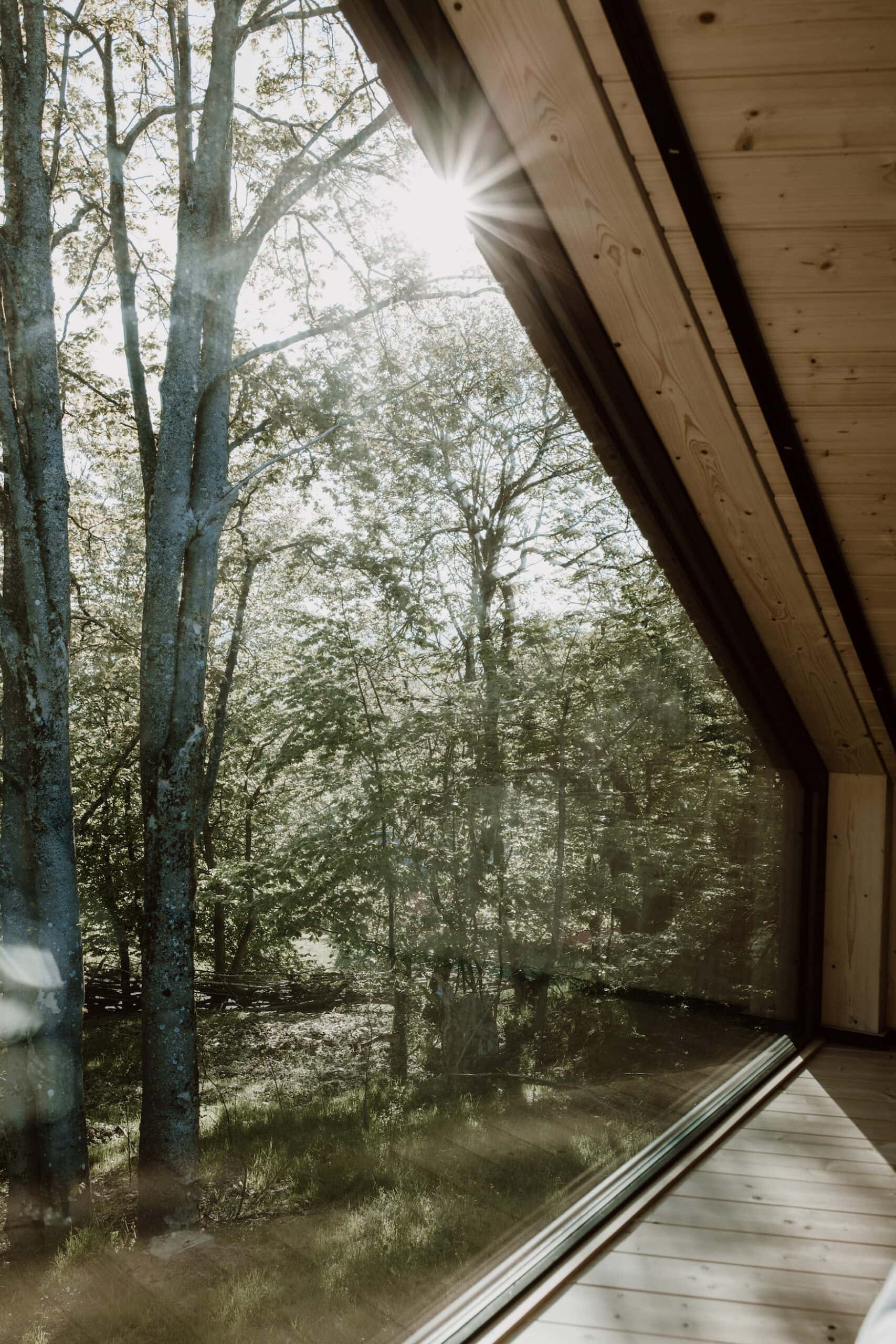 View of nature from a holiday home in the Eifel