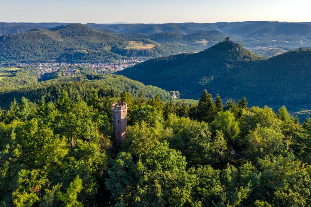 Rehbergturm in der Pfalz aus der Vogelperspektive