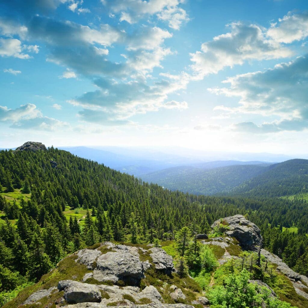 View from the top of mountain Grosser Arber in National park Bavarian forest, Germany.