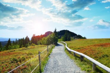 Autumn landscape in National park Bayerischer Wald at sunset, top of the mountain Grosser Arber, Germany.