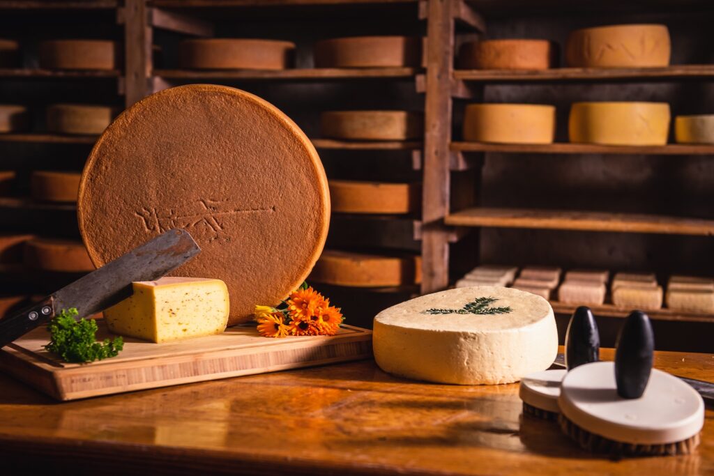 Regional hergestellter Käse aus dem Hochschwarzwald