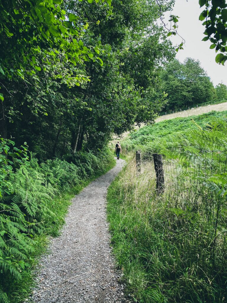 Mann spaziert über einen Feldweg im Neandertal, einer der schönsten Grünflächen in NRW