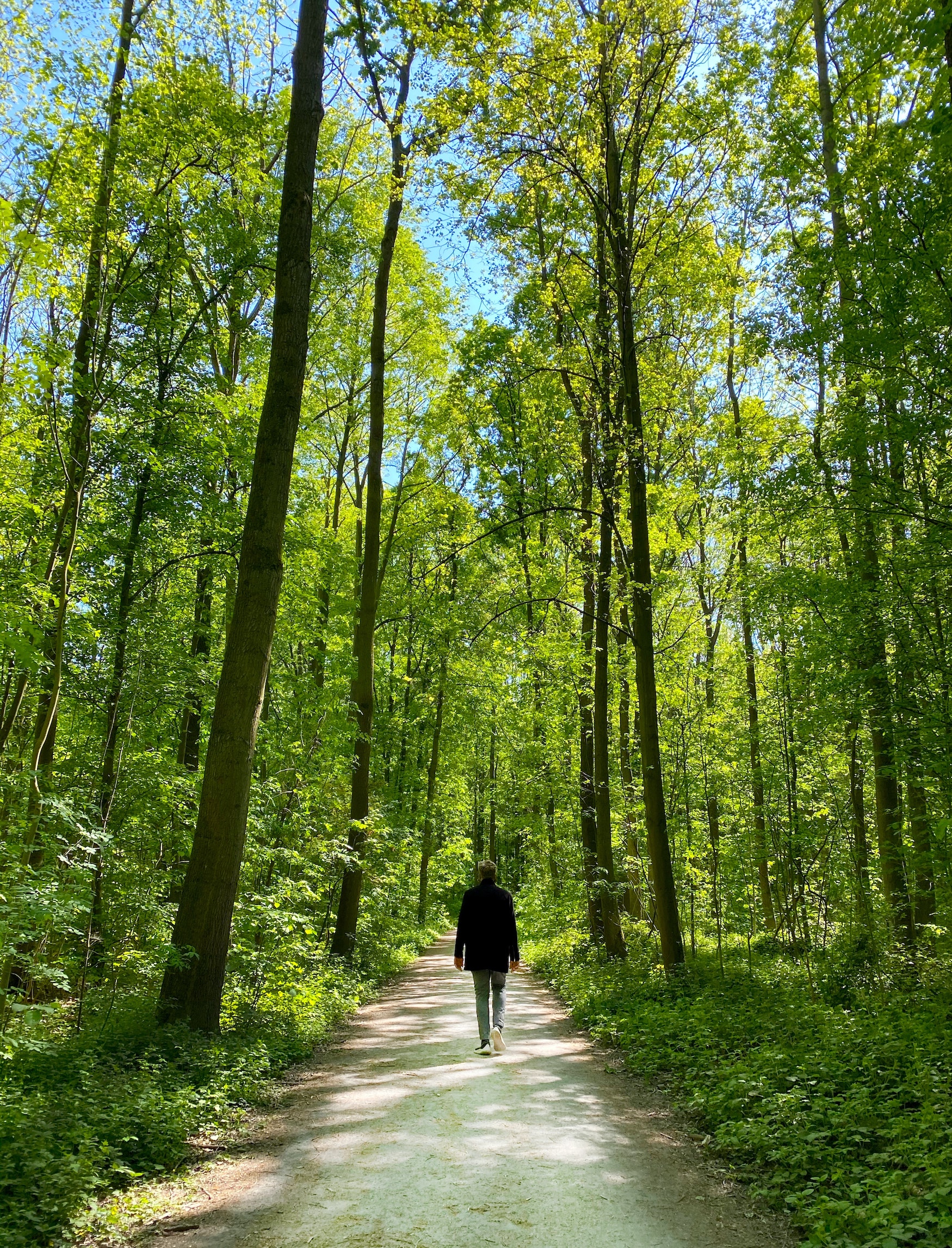 Mann spaziert durch die Wahner Heide in Köln