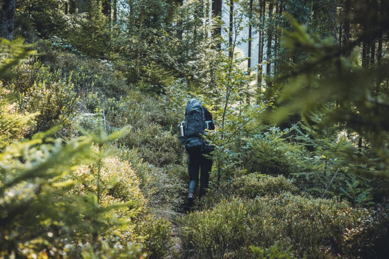 Person mit Rucksack wandert durch den Schwarzwald