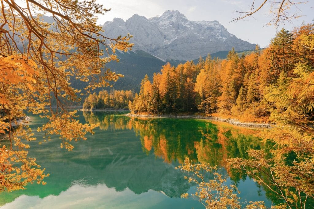 Im spiegelglatten Wasser des Eibsees spiegeln sich zahlreiche Bäume eines herbstlichen Waldes