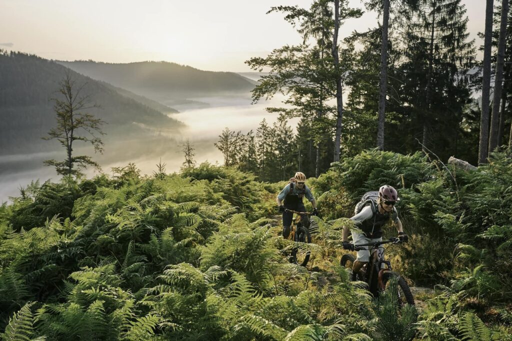 Two mountain bikers in the autumnal Black Forest