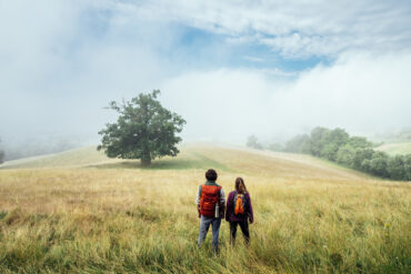 Wandern auf dem Naturparkweg durch die Landschaft der Mecklenburgischen Seenplatte