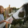 Familienurlaub in Bayern auf einem Ferienhof mit Pferden