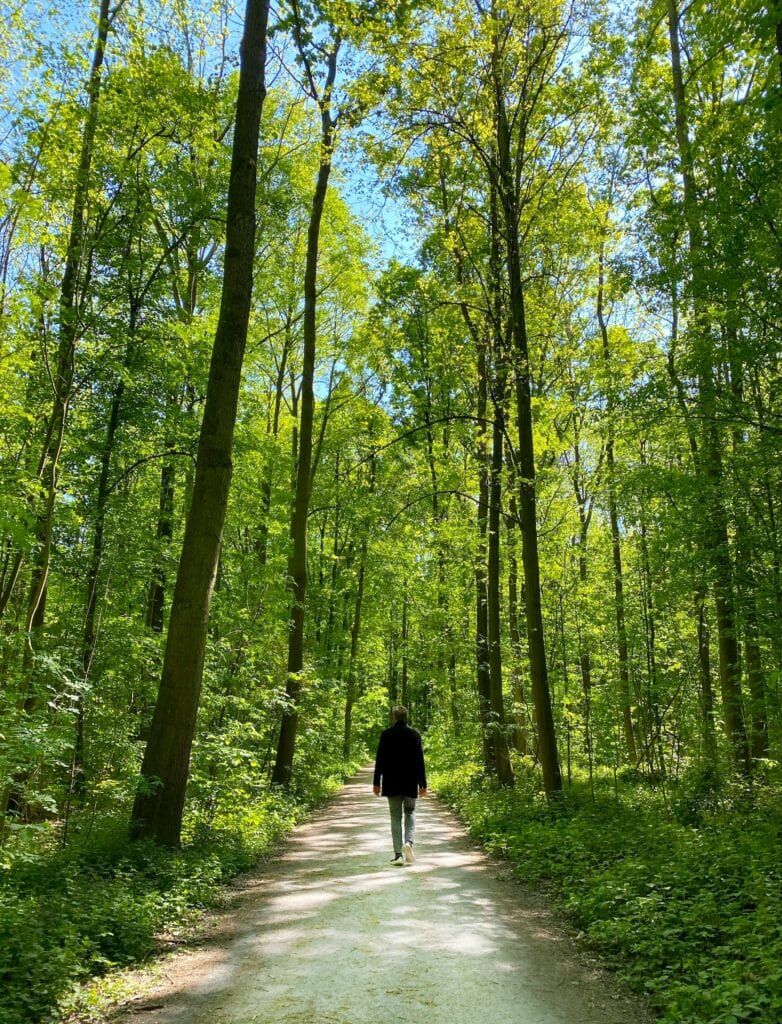 Man walking through the Wahner Heide in Cologne