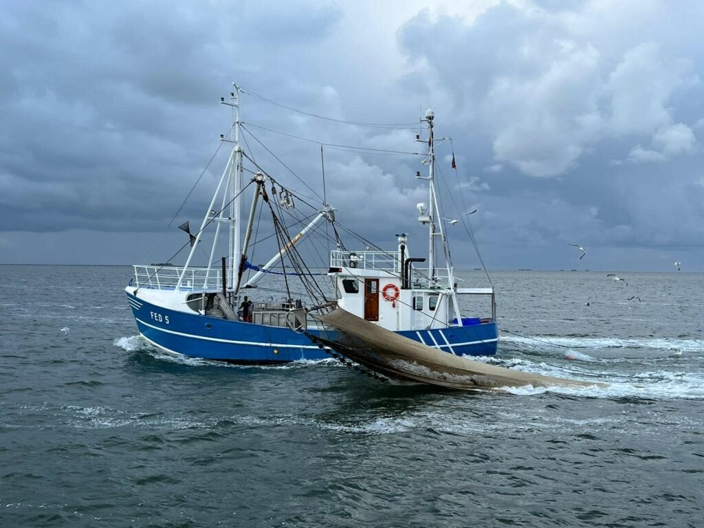 Krabbenfischer in der Nordsee