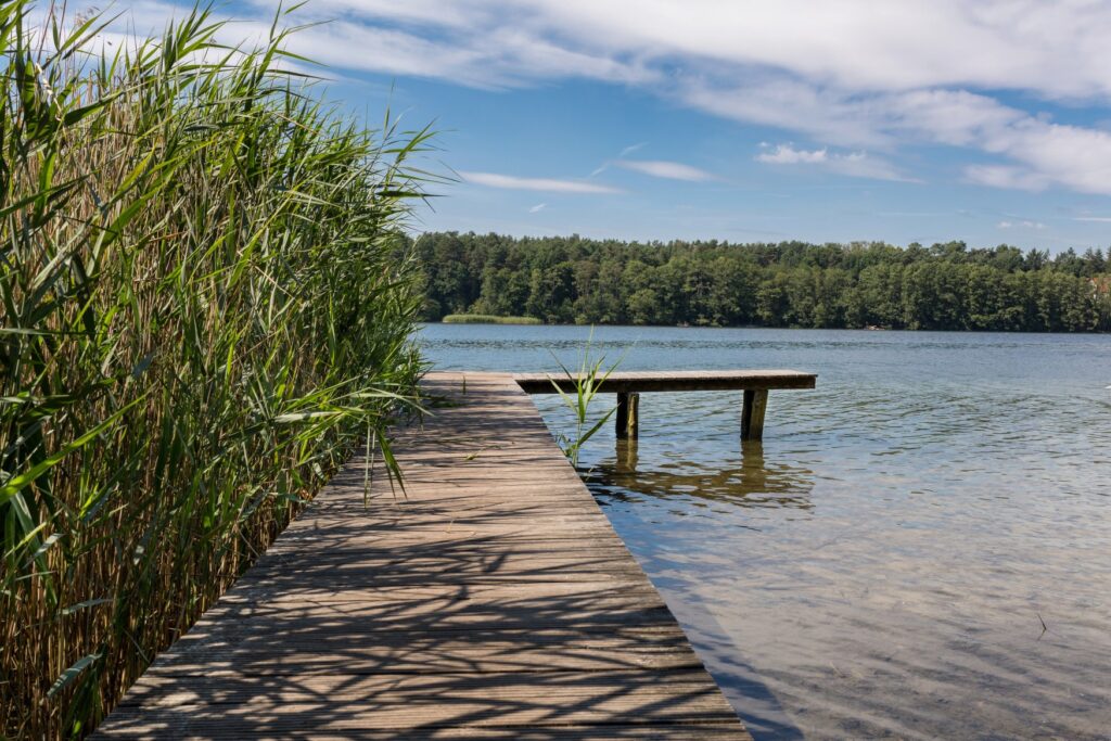 An einem begrünten Seeufer ragt links ein hölzerner Steg ins Wasser