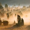 Über dem Totengrund in der Lüneburger Heide liegt Morgennebel, angestrahlt von der aufgehenden Sonne