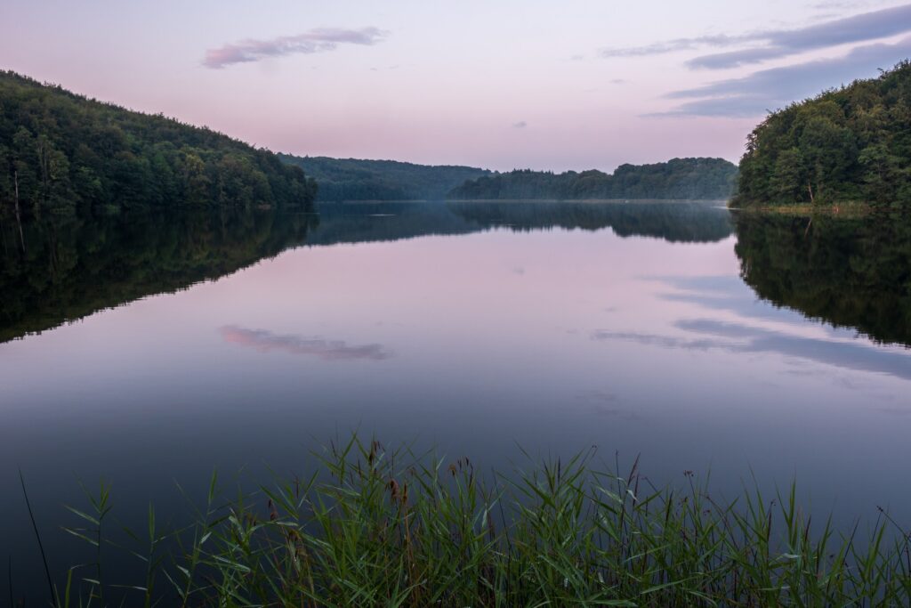 Ein weiter See, der am Rand von Wald umgeben ist, wird vom Sonnenaufgang in violettes Licht getaucht.
