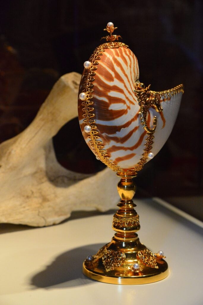 Porcelain shell in porcelain exhibition