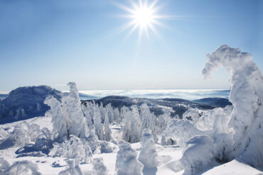 Bayerischer Wald im Winter