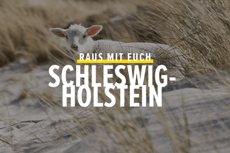 Aktivitäten in Schleswig-Holstein