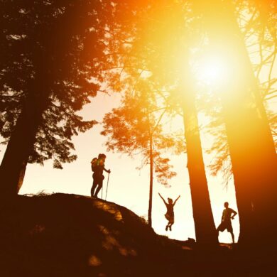 Hikers in the forest