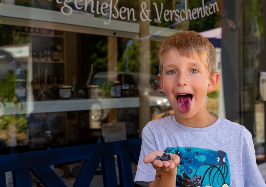 Kind mit rausgestreckter, blauer Zunge hält Heidelbeeren aus dem Schwarzwald in der Hand