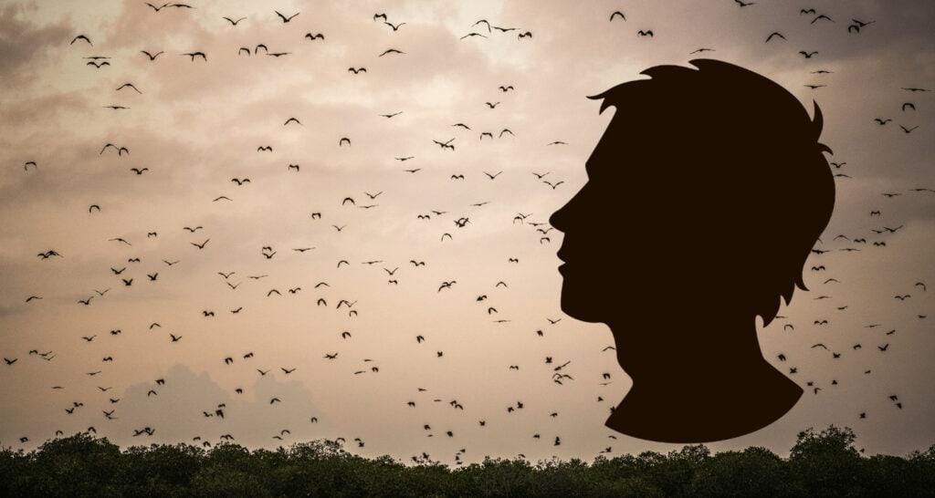 Silhouette eines Mannes vor fliegenden Fledermäusen