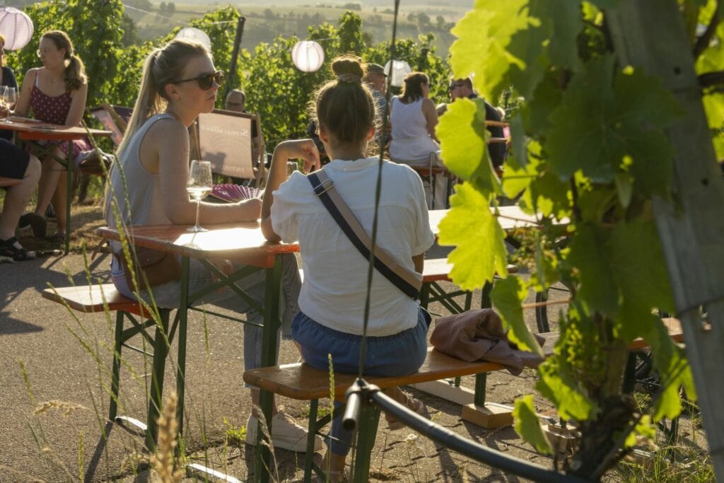 Several people sitting at beer tent sets in the middle of a vineyard