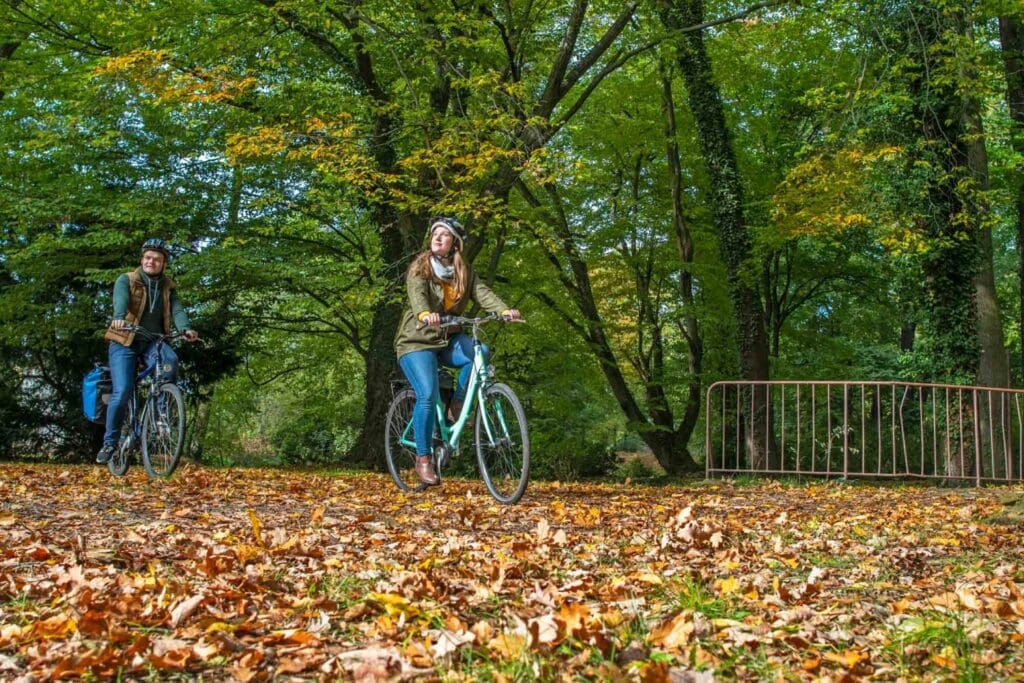 Paar fährt mit dem Rad über einen laubbedeckten Boden im Wald