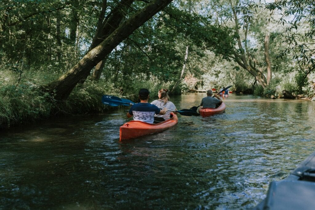 Zwei Kanus fahren auf einem Fluss im Wald