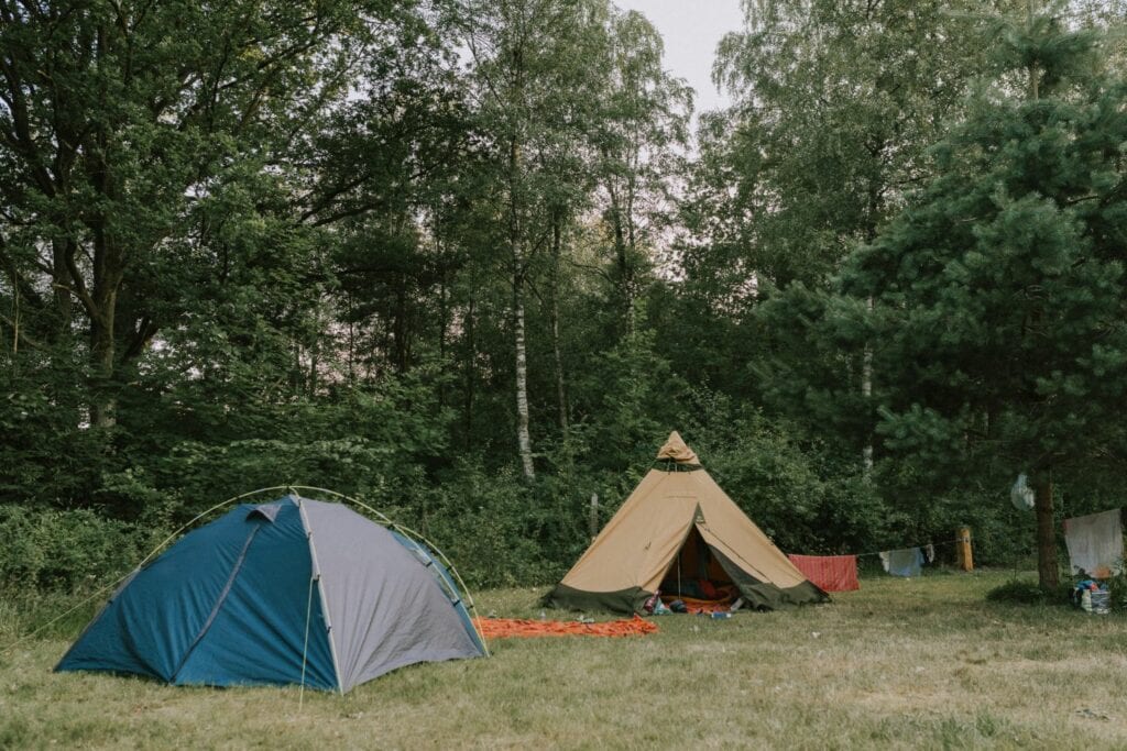 Zwei Zelte stehen auf einer Wiese im Wald